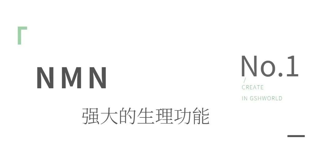 开云体育新人生物 开云体育新人生物