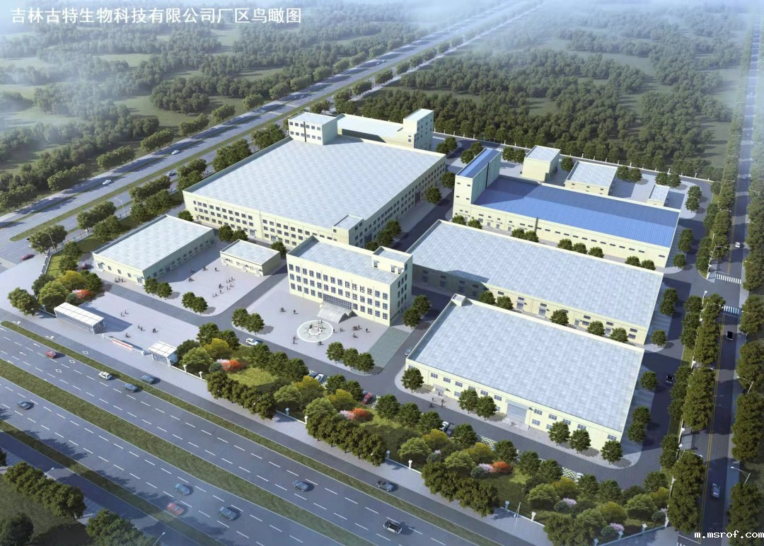 开云体育新人生物