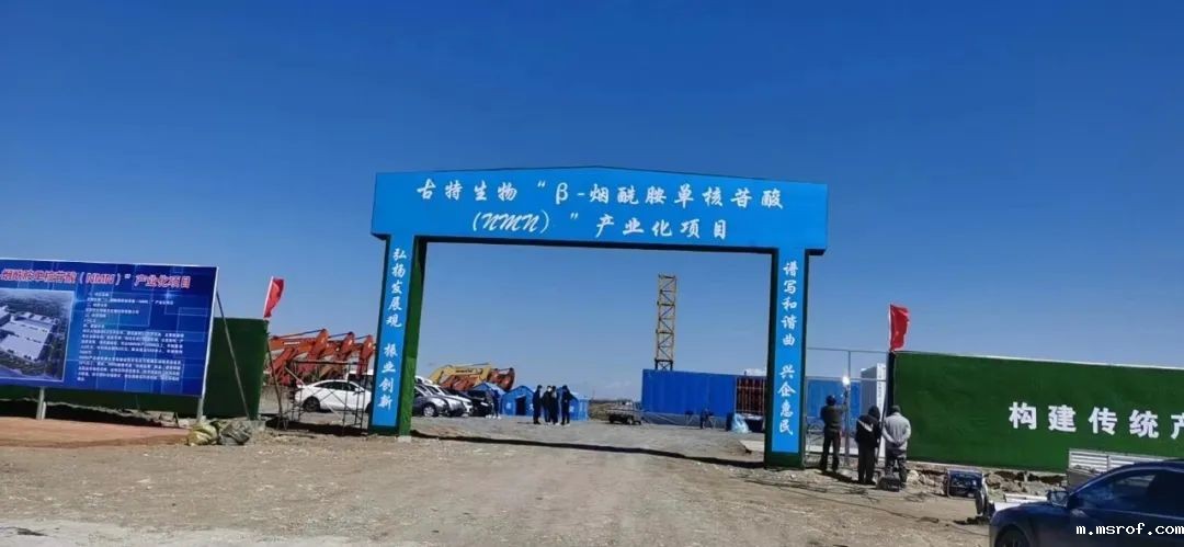 开云体育新人生物