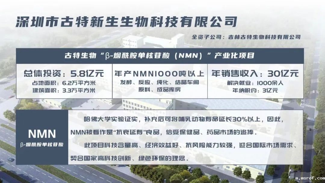 开云体育新人生物