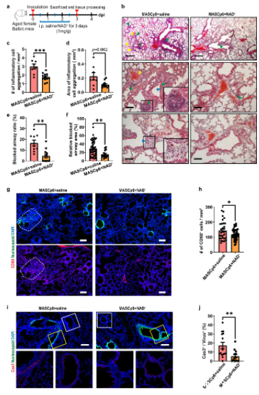 开云体育新人生物 开云体育新人生物