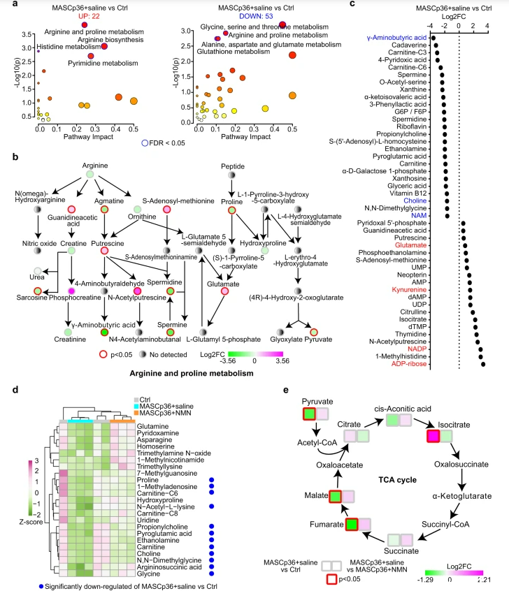 开云体育新人生物 开云体育新人生物