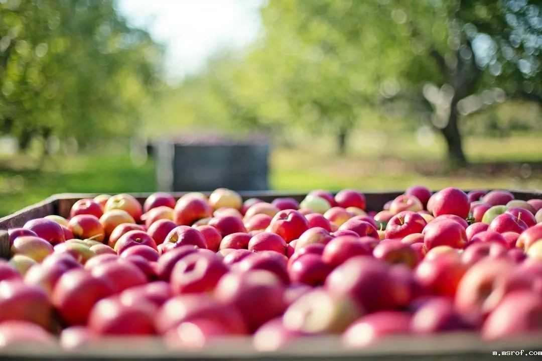 开云体育新人生物 开云体育新人生物