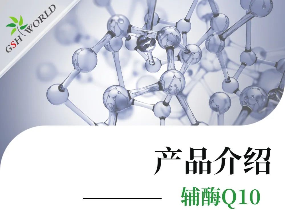 开云体育新人生物