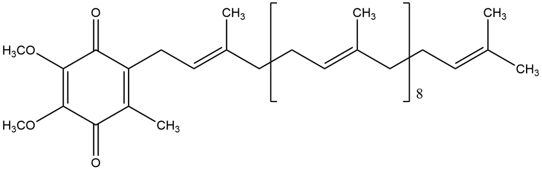 开云体育新人生物
