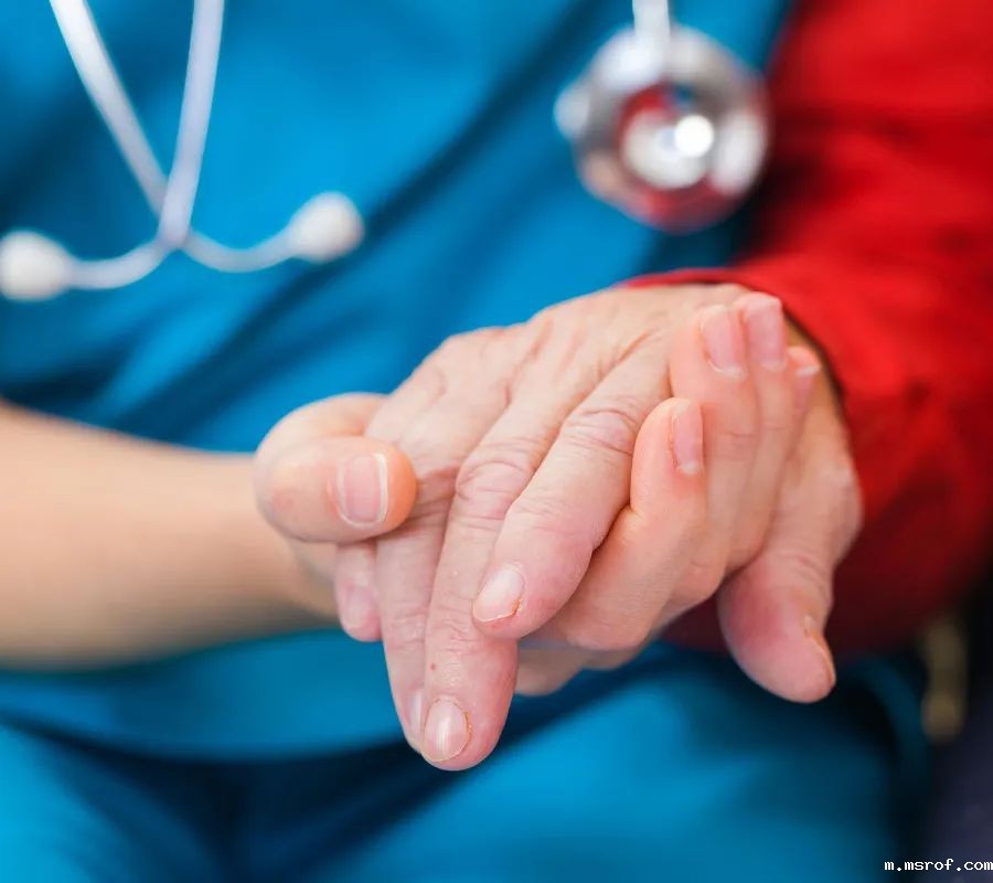 开云体育新人生物