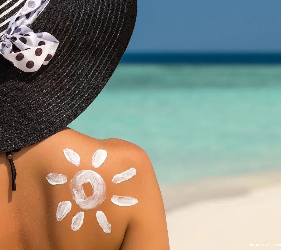 开云体育新人生物