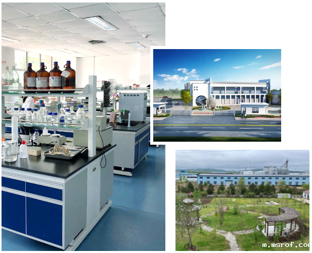 开云体育新人生物 开云体育新人生物