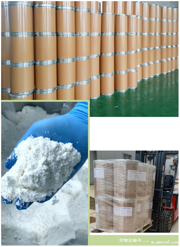 开云体育新人生物 开云体育新人生物