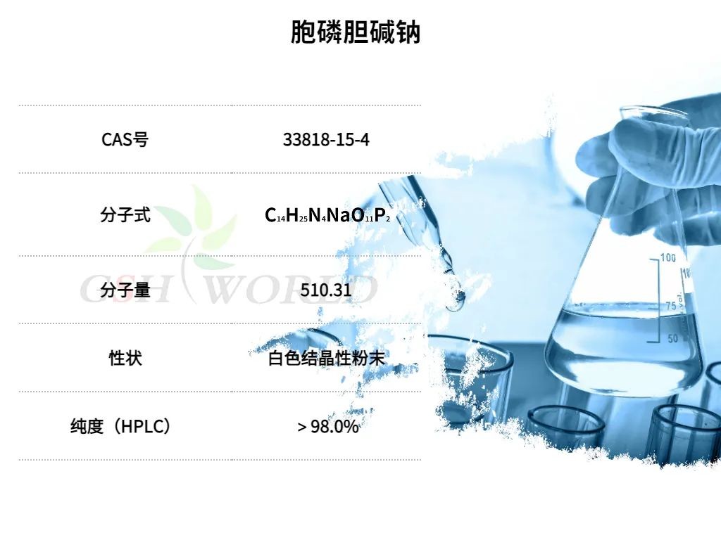 开云体育新人生物