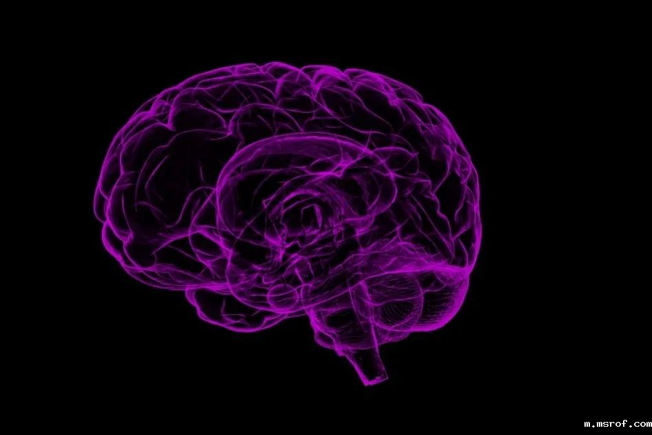 开云体育新人生物