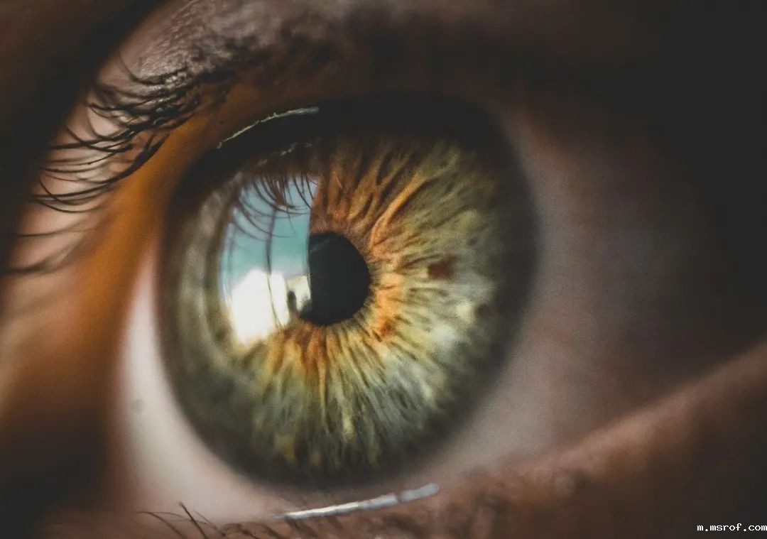 开云体育新人生物