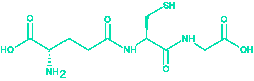 开云体育新人生物