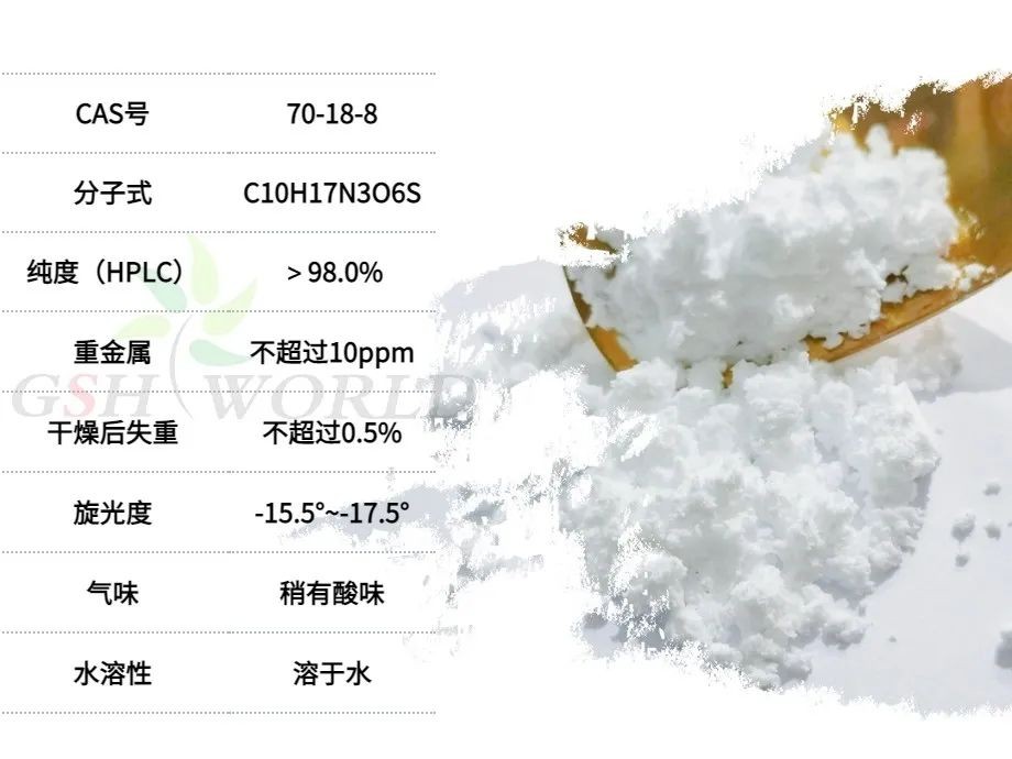 开云体育新人生物