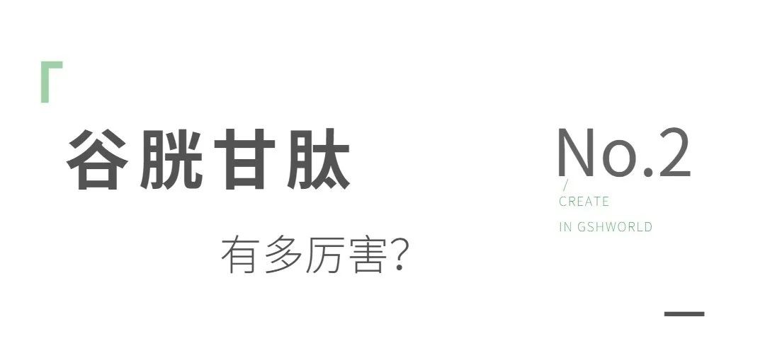 开云体育新人生物
