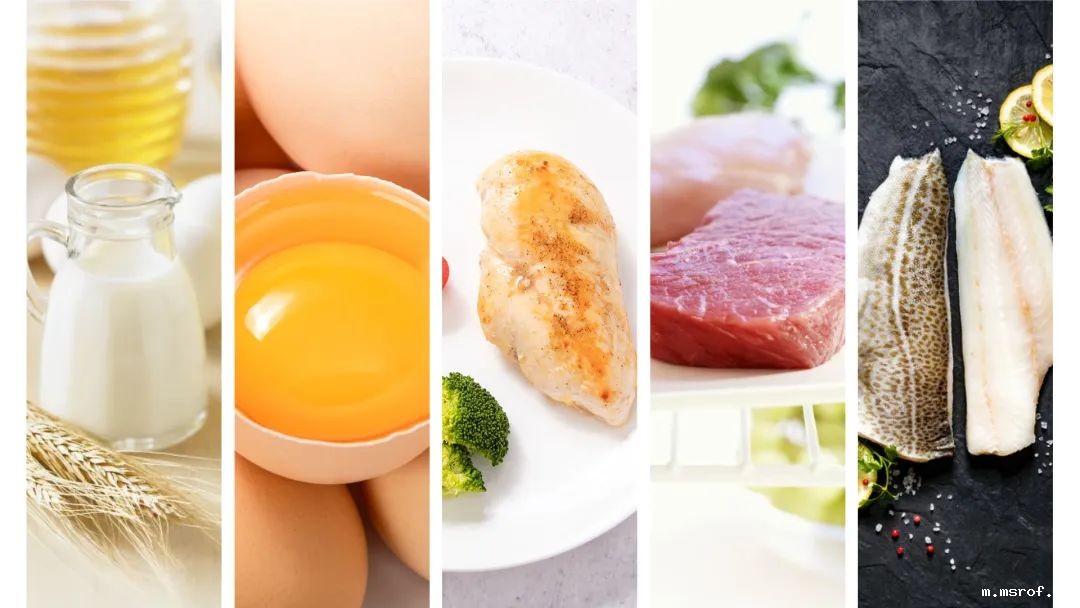 开云体育新人生物