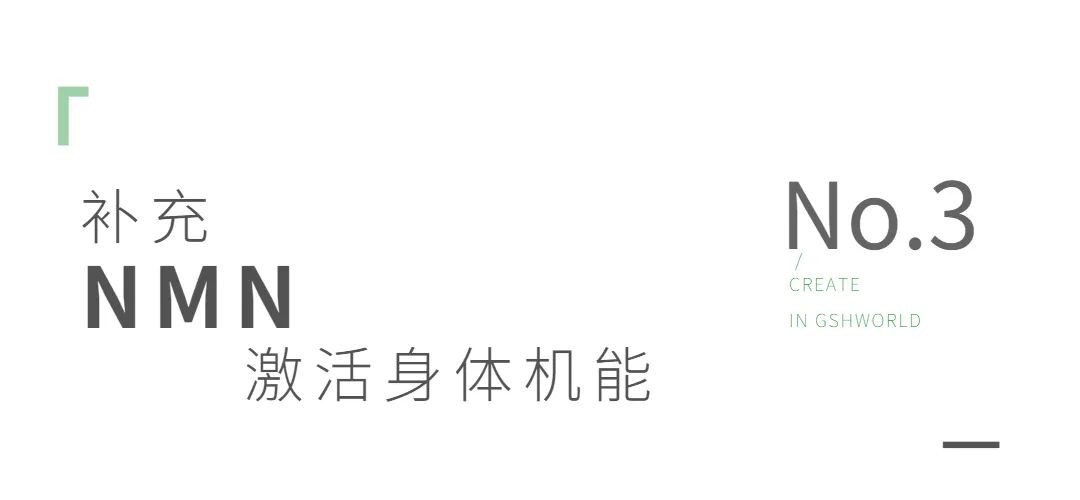 开云体育新人生物