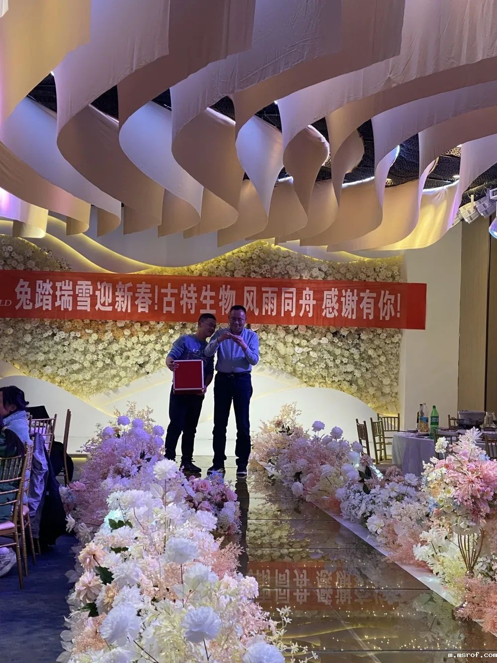 开云体育新人生物 愿我们2023年乘风破浪,行稳致远