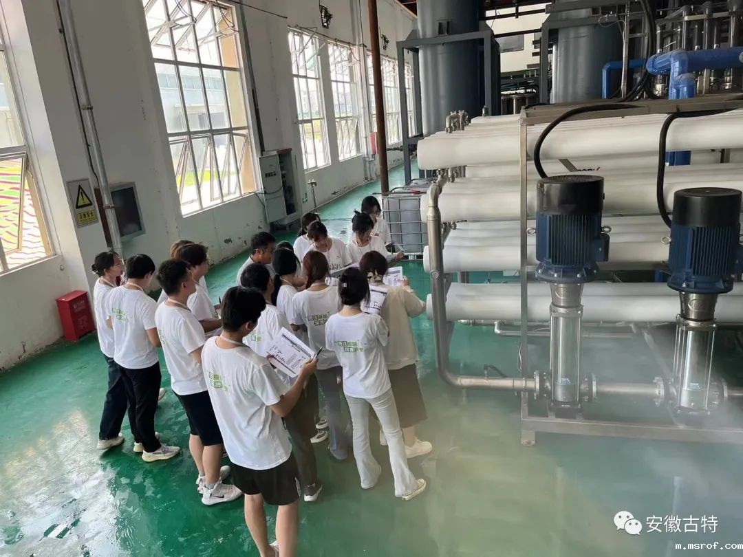 开云体育新人生物 开云体育新人生物