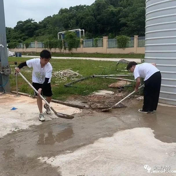 开云体育新人生物 开云体育新人生物