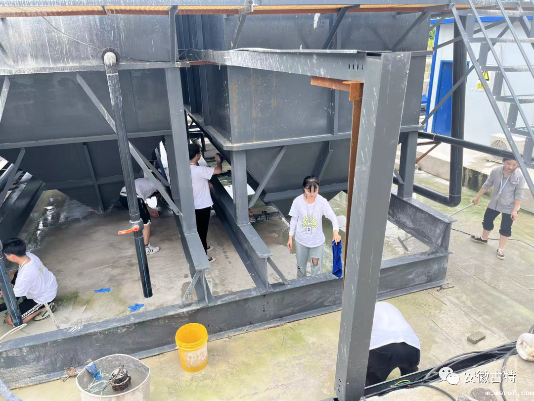 开云体育新人生物 开云体育新人生物