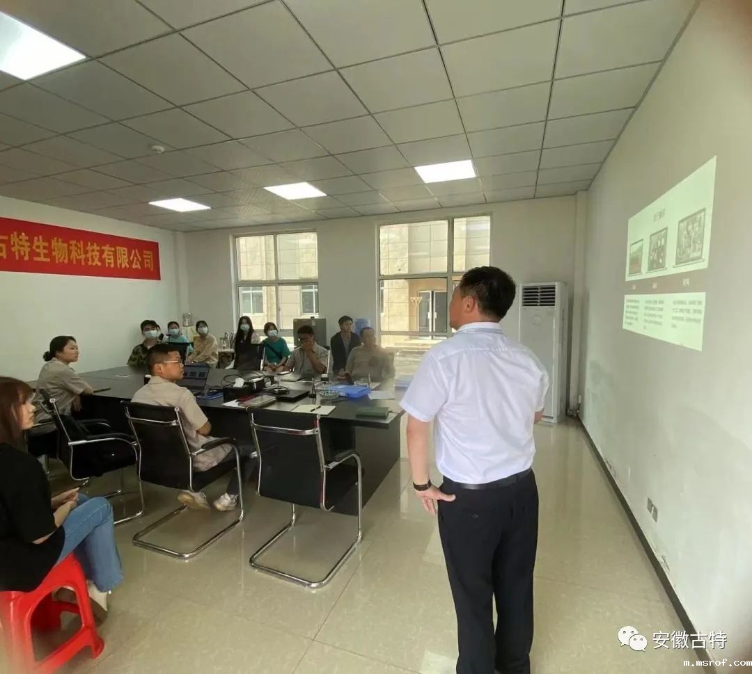 开云体育新人生物 开云体育新人生物