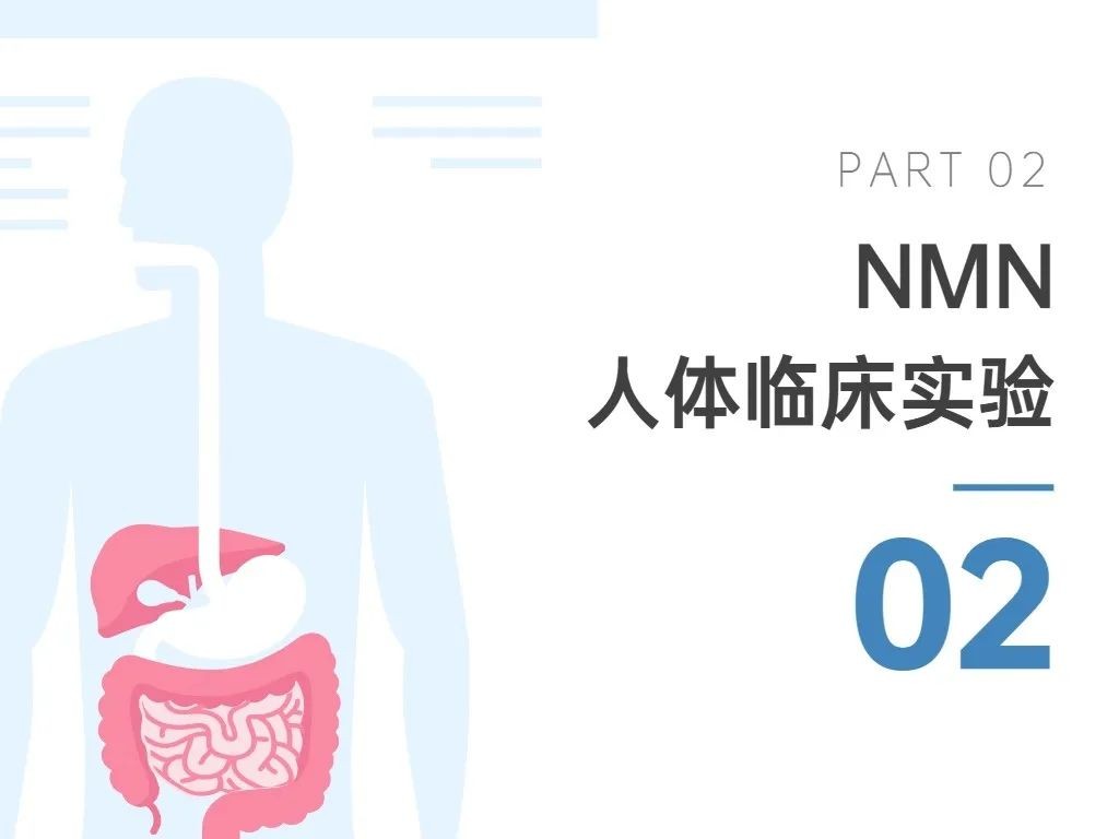 开云体育新人生物 开云体育新人生物