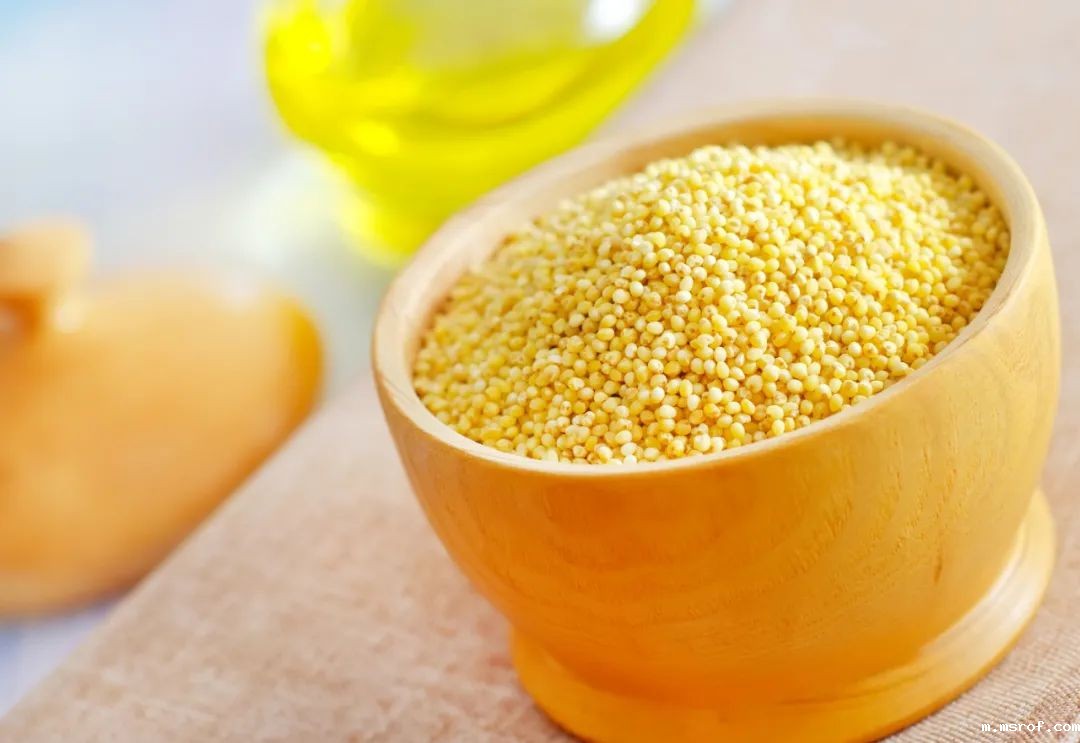 开云体育新人生物