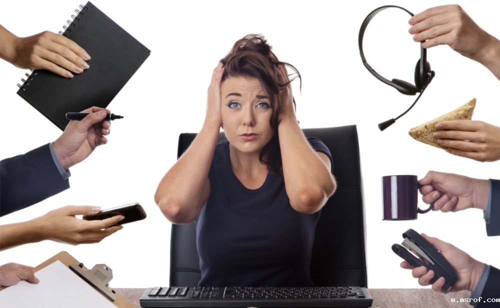 开云体育新人生物 开云体育新人生物