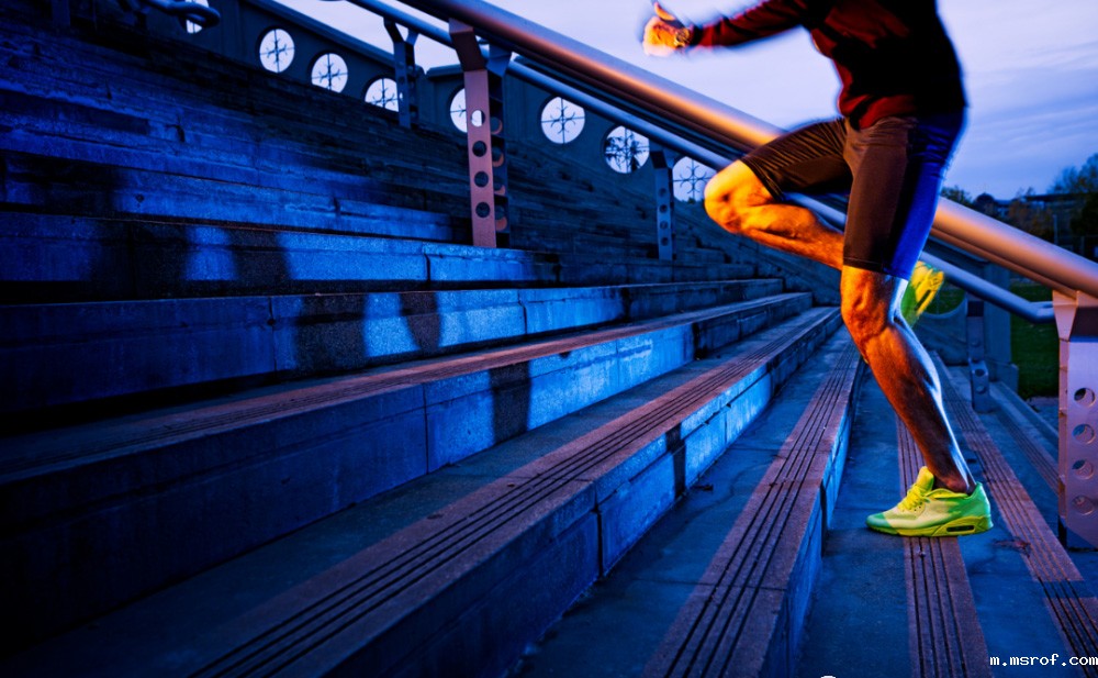 开云体育新人生物 开云体育新人生物