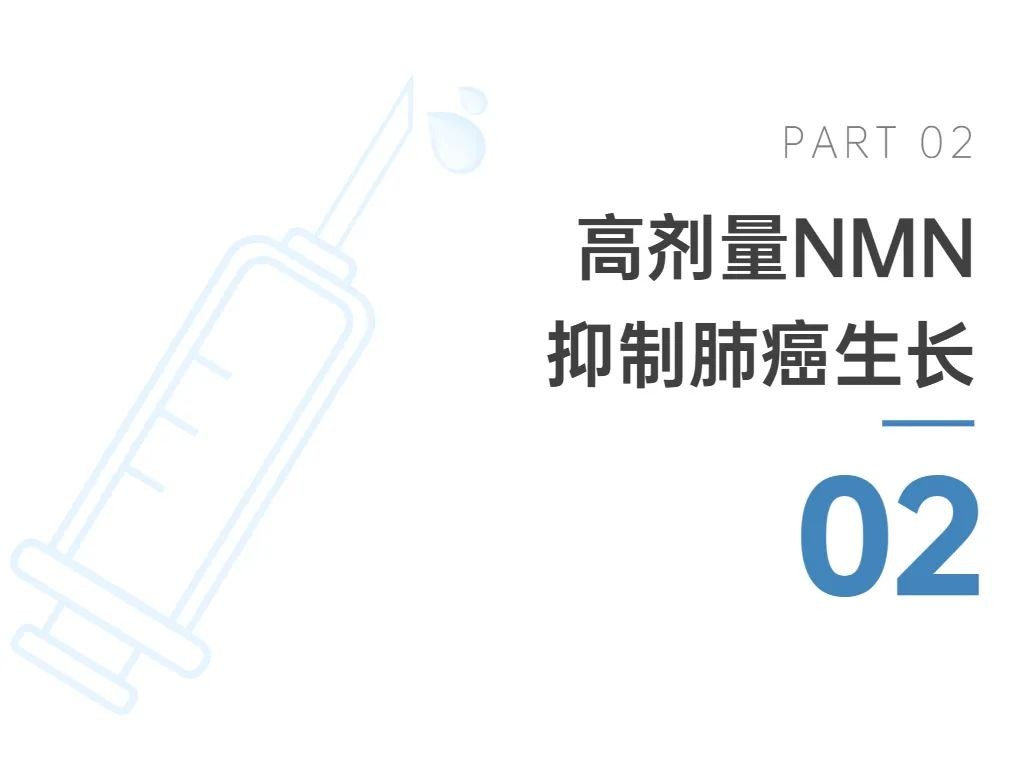 开云体育新人生物