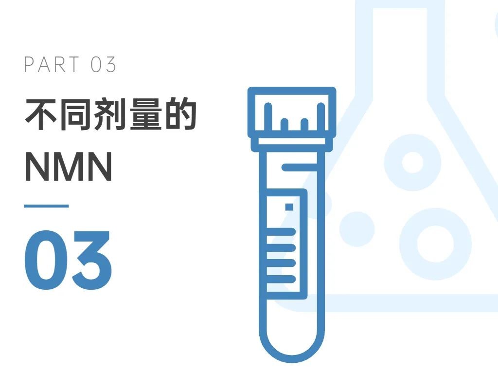 开云体育新人生物