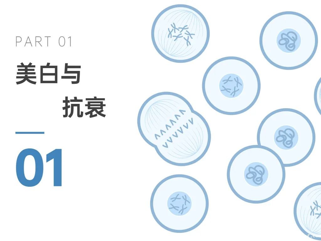 开云体育新人生物 开云体育新人生物
