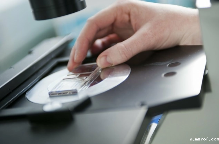 开云体育新人生物 图片