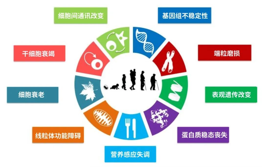 开云体育新人生物 图片