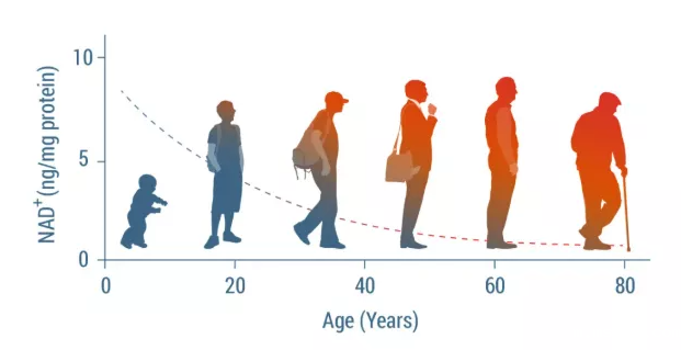 开云体育新人生物 图片