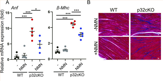 开云体育新人生物 开云体育新人生物