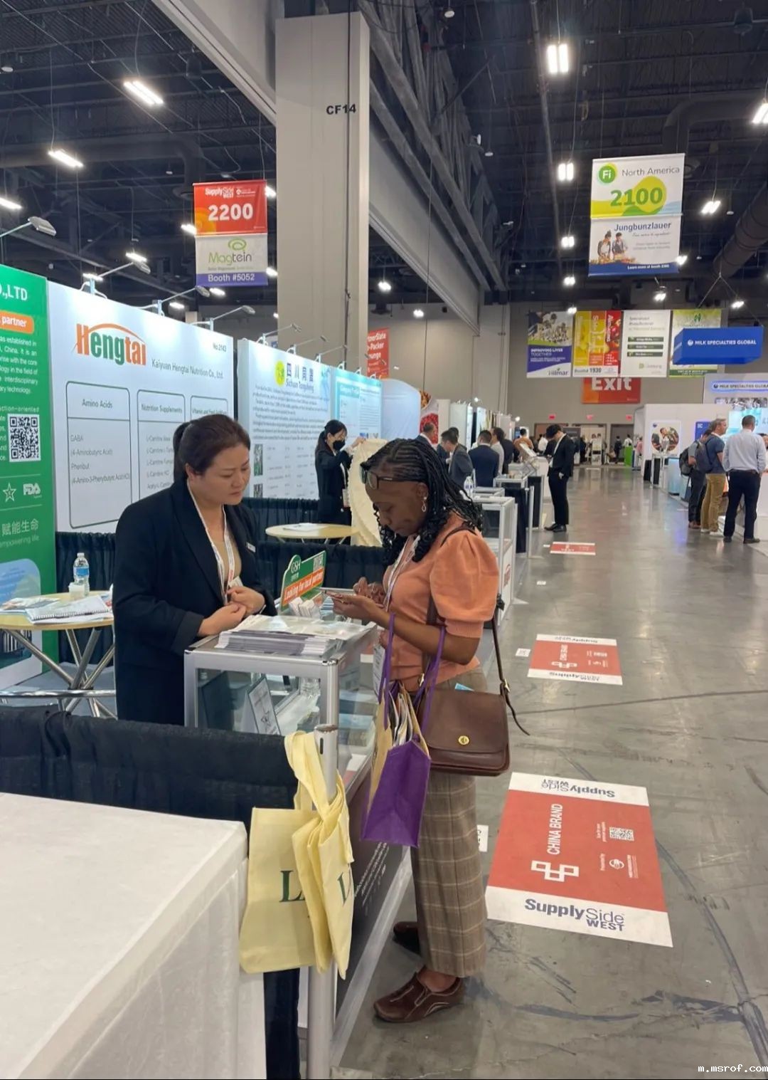 开云体育新人生物 图片