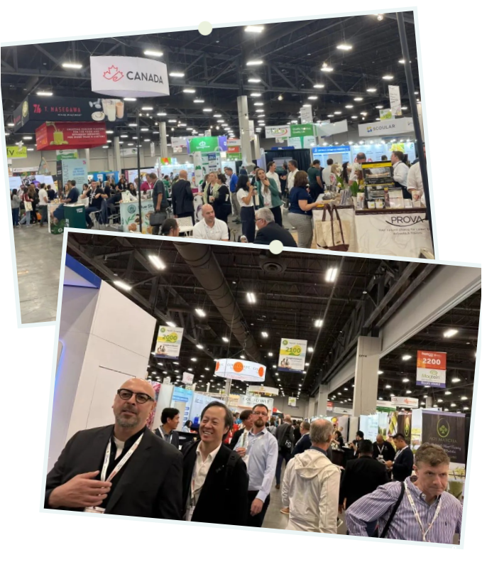 开云体育新人生物 开云体育新人生物