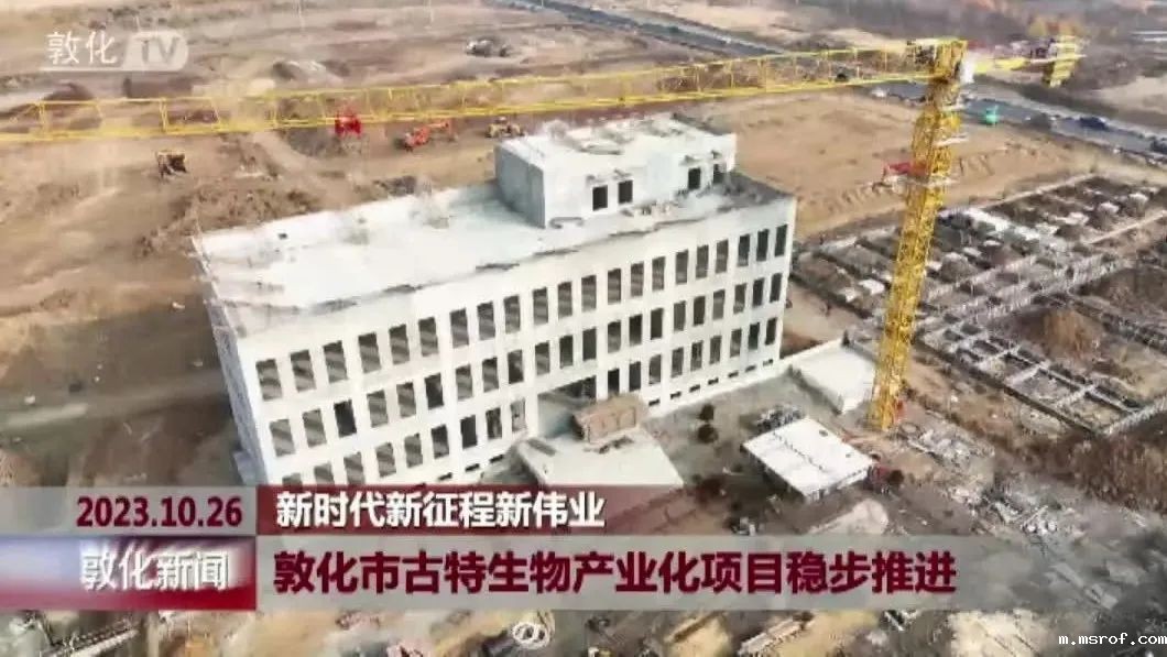 延边这一项目预计2024年10月份交付使用 延边这一项目预计2024年10月份交付使用