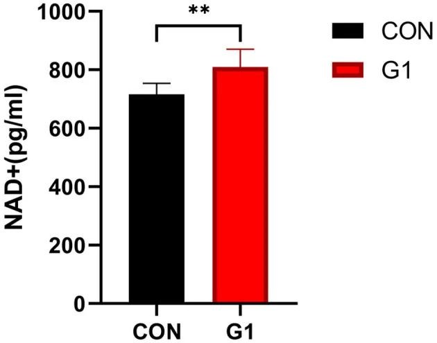 开云体育新人生物 图片