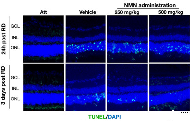 开云体育新人生物 开云体育新人生物
