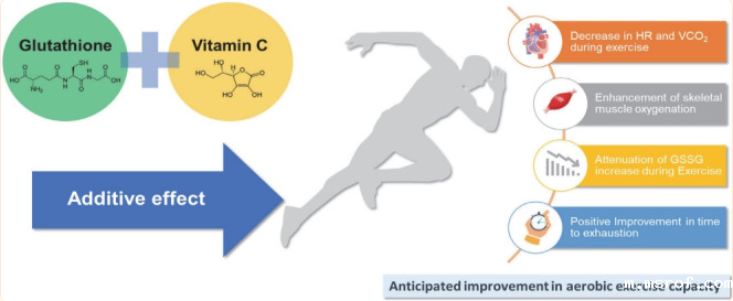 开云体育新人生物 开云体育新人生物
