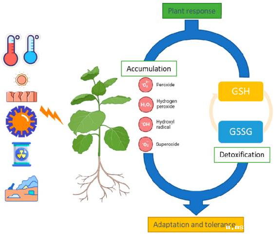 开云体育新人生物 开云体育新人生物