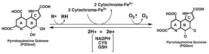 包含图片、插图等的外部文件。
对象名称为 biomolecules-11-01441-g001.jpg