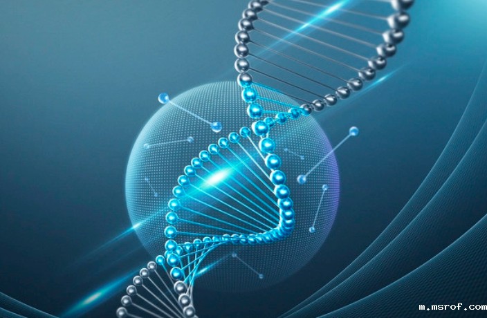 开云体育新人生物 开云体育新人生物