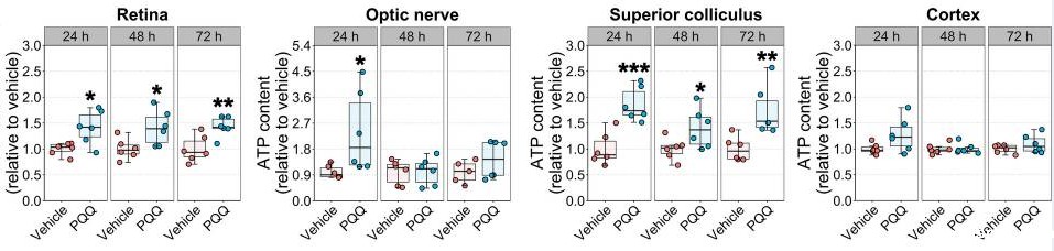 开云体育新人生物 开云体育新人生物