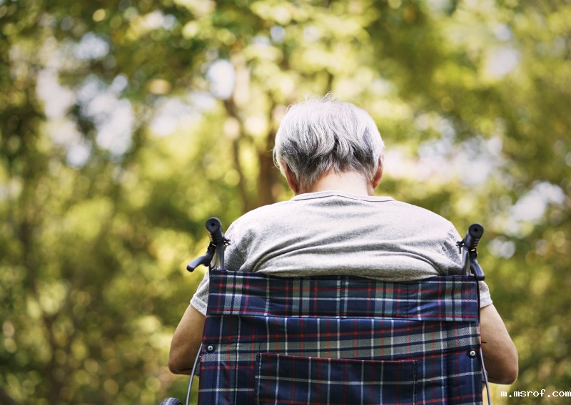 开云体育新人生物 开云体育新人生物