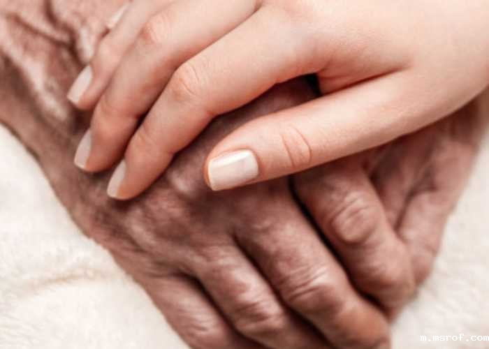 开云体育新人生物 开云体育新人生物