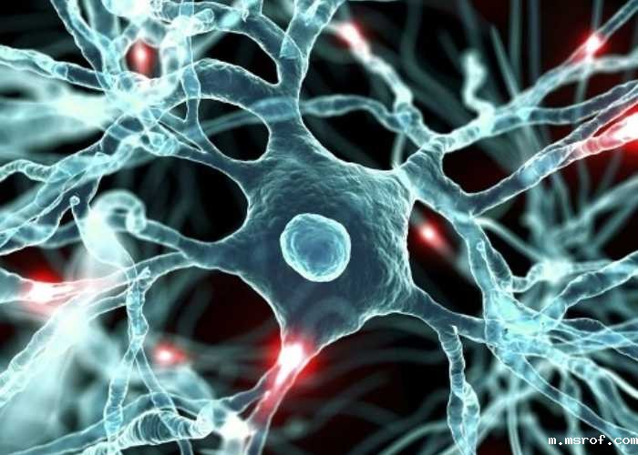 开云体育新人生物 开云体育新人生物